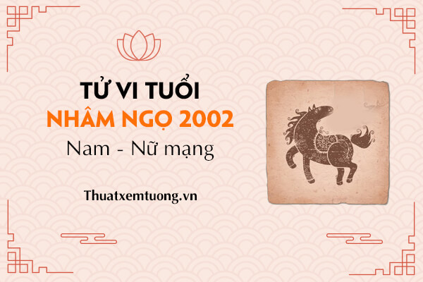 tu-vi-tuoi-nham-ngo-nam-2022-nam-nu-mang-2002