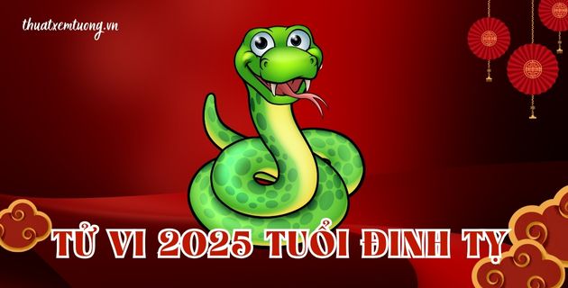 tử vi tuổi đinh tỵ năm 2025