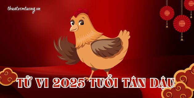 tử vi tuổi quý dậu năm 2025