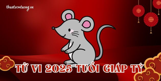 tử vi tuổi giáp tý năm 2025