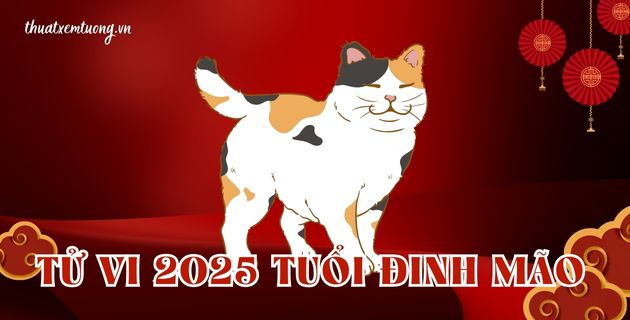 tử vi tuổi đinh mão năm 2025