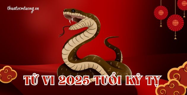 tử vi tuổi Kỷ tỵ năm 2025