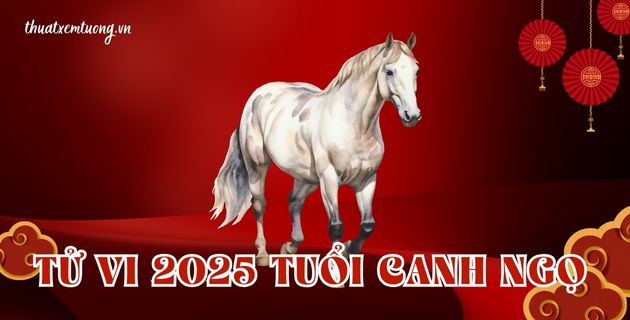 tử vi tuổi canh ngọ năm 2025