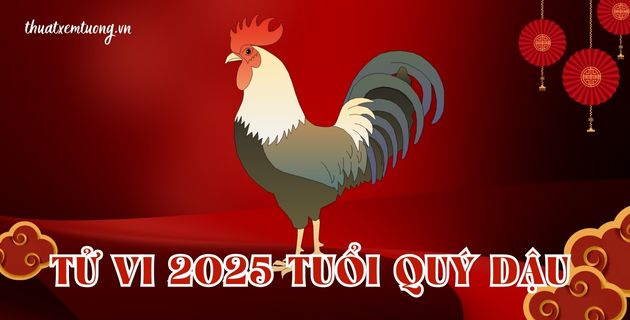 tử vi tuổi quý dậu năm 2025