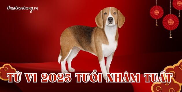 tử vi tuổi giáp tuất năm 2025