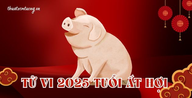 tử vi tuổi ất hợi năm 2025