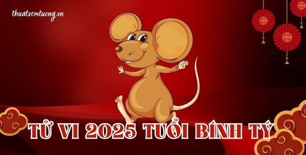 tử vi tuổi bính tý năm 2025