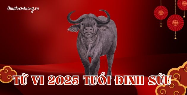 tử vi tuổi đinh sửu năm 2025