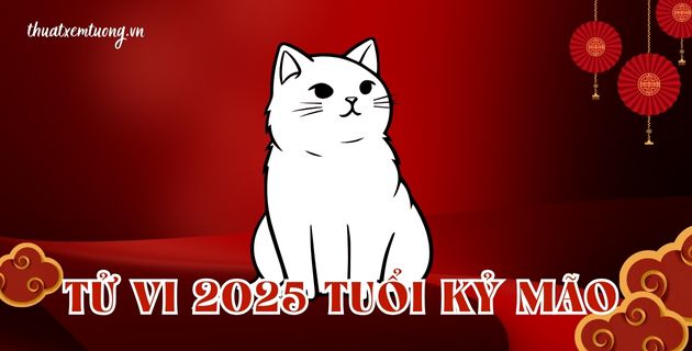 tử vi tuổi kỷ mão năm 2025