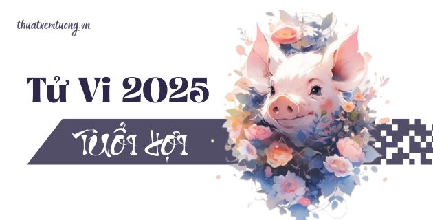 tử vi tuổi hợi năm 2025