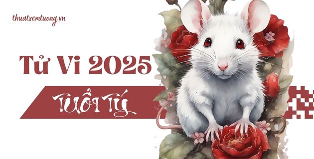 tử vi tuổi tý năm 2025